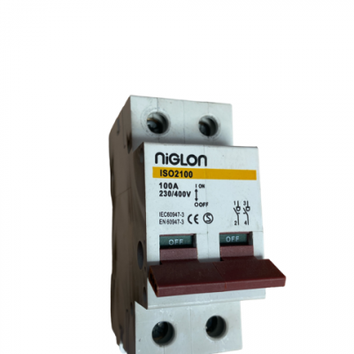 Niglon100a Double Pole Switch Disconnector
